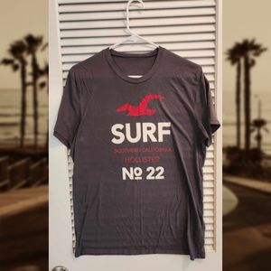 Hollister surf gray mens MEDIUM t-shirt